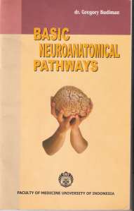 Basic Neuroanatomical Pathways
