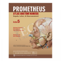 Prometheus Atlas Anatomi Manusia: Kepala, Leher & Neuroanatomi ( Prometheus LernAtlas der Anatomie: Kopf, Hals und Neuroanatomie) Edisi 5