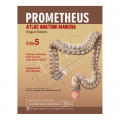 Prometheus Atlas Anatomi Manusia: Organ Dalam ( Prometheus LernAtlas der Anatomie: Innere Organe) Edisi 5