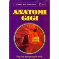 Anatomi Gigi